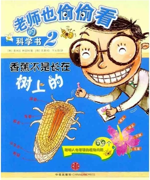 香蕉不是长在树上的