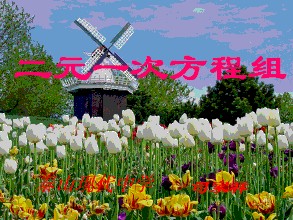 标题：二元一次方程组
										 学校：未知
										 讲师：崔莉  