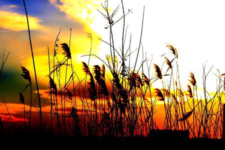 标题：芦花荡
										 学校：人民教育出版社
										 讲师：人民教育出版社  