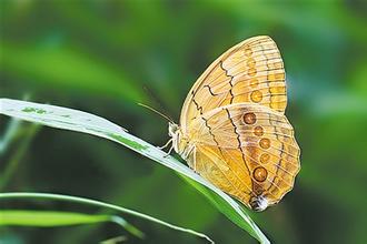 标题：走进科学
										 学校：绍兴市第一初级中学教育集团
										 讲师：肖荣荣   