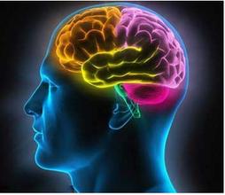 标题：超级全脑速读训练
										 学校：北京市铁路第二中学
										 讲师：程汉杰  