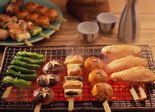 标题：食品科学与工程类专业导论
										 学校：江南大学
										 讲师：金正宇  