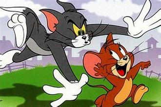 标题：猫和老鼠1
										 学校：华纳兄弟公司
										 讲师：汤姆 、杰瑞  