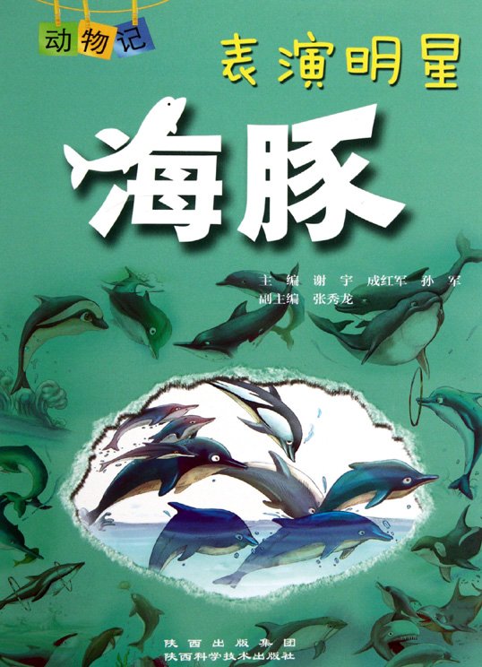 表演明星海豚
