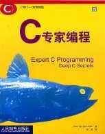 C 专家编程