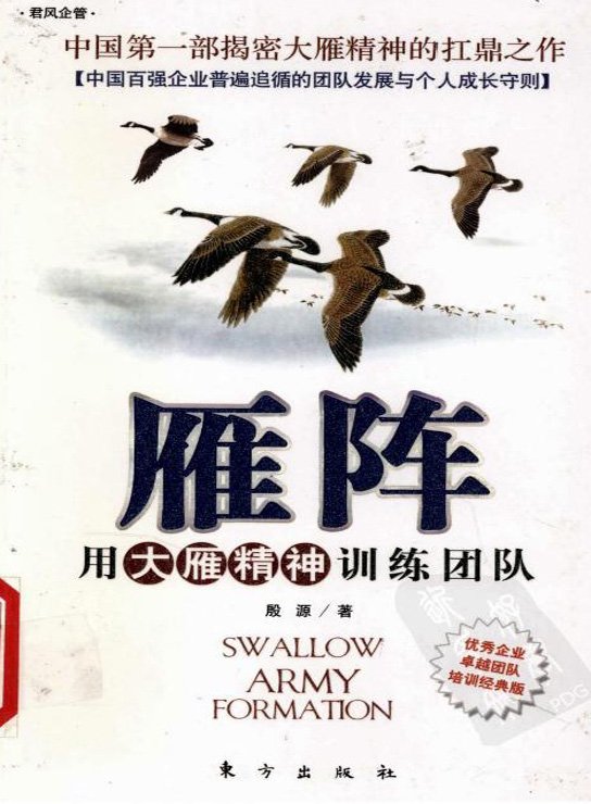 标题：雁阵：用大雁精神
										 出版社： 东方出版社
										 作者：殷源  