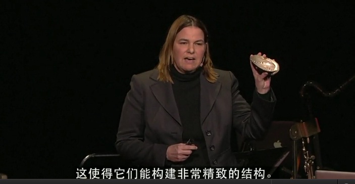 标题：利用大自然充电
										 学校：TED
										 讲师：Angela Belcher  