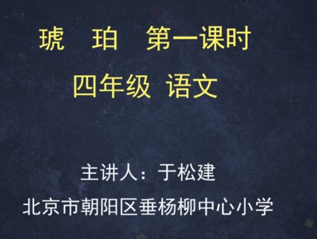 标题：（统编版）-琥珀
										 学校：垂杨柳中心小学
										 讲师：于松建  